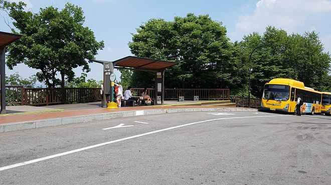 바르게 걷기 공개강좌(서울, 금, 일, 월)를 합니다