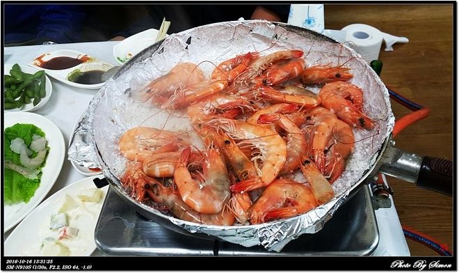 [아침엔] 새집 짓고 멍청하게